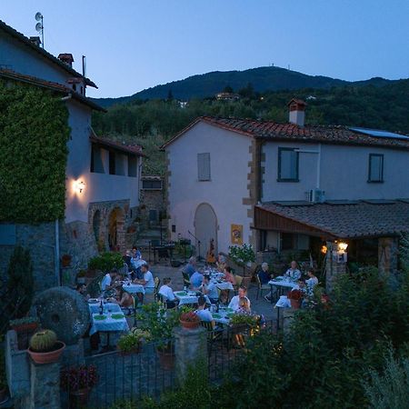 Agriturismo Borgo Mocale Castelfranco di Sopra 外观 照片