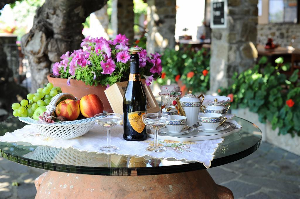 Agriturismo Borgo Mocale Castelfranco di Sopra 外观 照片