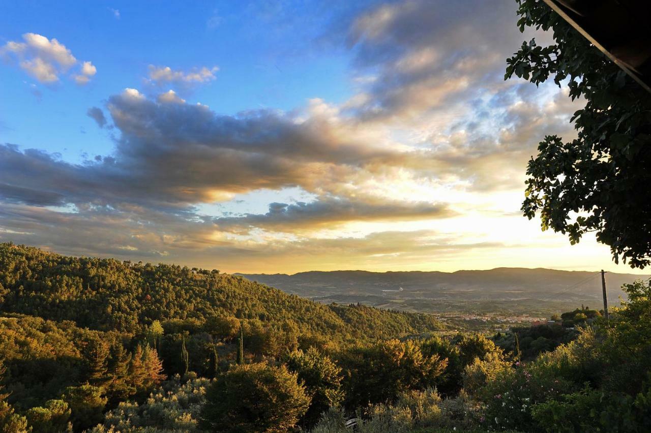 Agriturismo Borgo Mocale Castelfranco di Sopra 外观 照片